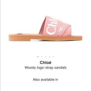 Chloe woody sandals. Never been worn.